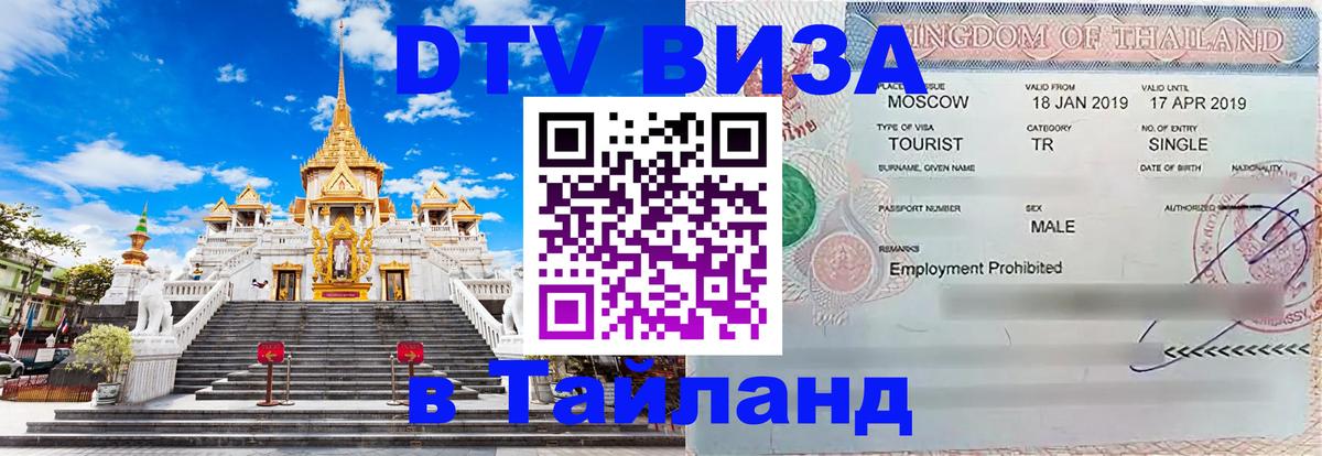 Оформление DTV визы под ключ: стоимость и тарифы, только загранпаспорт - 